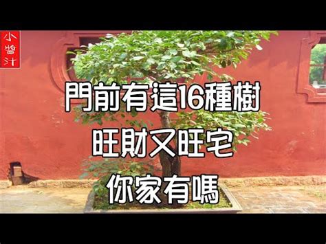 門前種什麼好|門前種這棵樹家裡財運一定旺